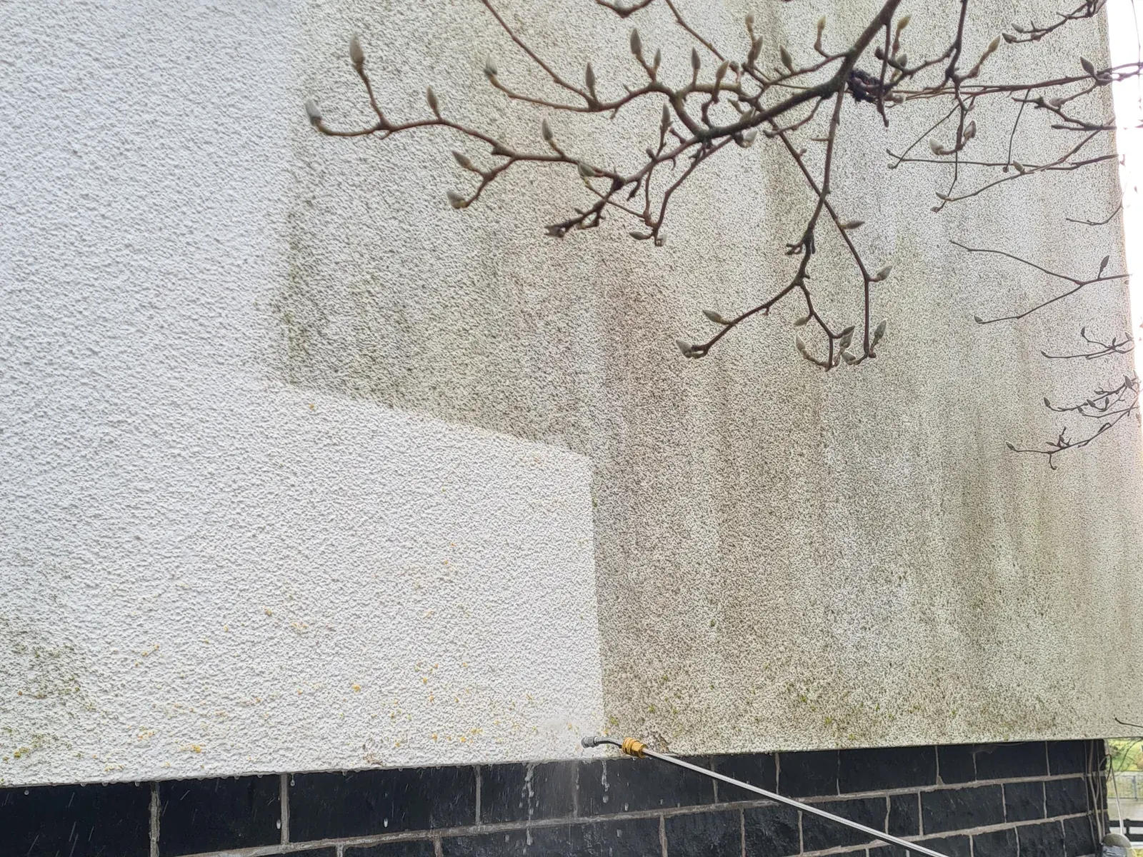 Probefläche: ein Stück Wand gereinigt, daneben noch der Belag